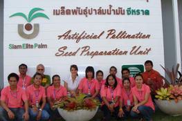 Siam Elite Palm Equipe Germoir